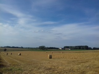 Obraz premium Paysage champêtre