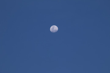The moon with blue sky background.