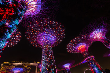 SINGAPORE - JAN 23 , 2016 : Super tree in Gardens by the Bay the