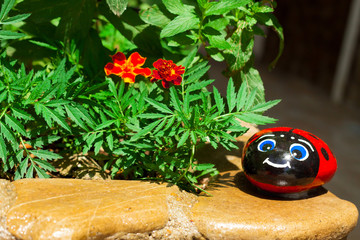 Naklejka premium beautiful beetle sits on a rock in the colors