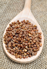Wooden spoon with buckwheat