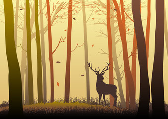 Obraz premium Silhouette of a deer