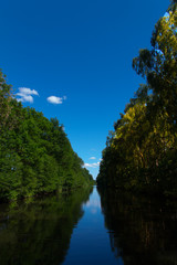 Der ruhige Fluss in der freien Natur