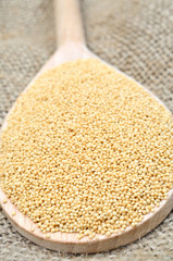 Amaranth seeds in a wooden spoon