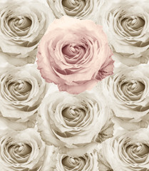 Rose Vintage Flowers