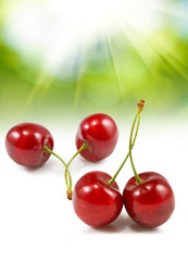 Isolated image of cherries on a green background