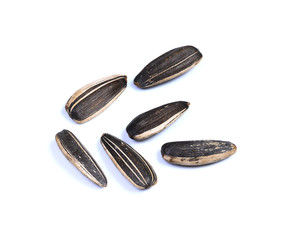 Closeup of black sunflower seeds isolated on white background.