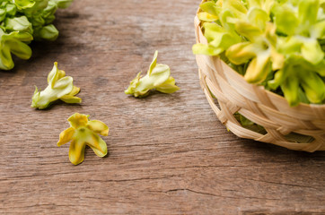 Cowslip creeper on wooden table.
