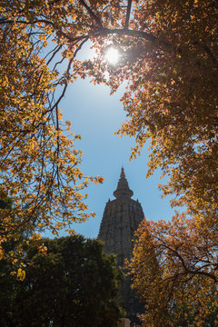 Mahabodhi Temple, Bodh Gaya, India