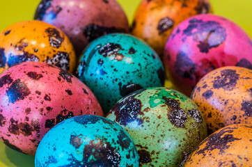 Colorful easter partridge eggs