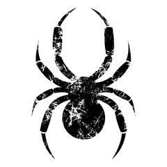 Vector illustration of spider, isolated on the white background. Black old sign with attrition and cracks. Series of Animals and Insect illustrations.