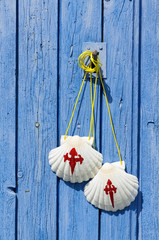 pilgrim scallops on antique wooden door in Villarejo de Orbigo village , Camino de Santiago to...