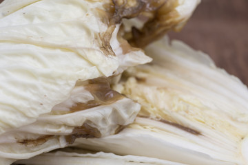 Cabbage leaves decomposing  on wood