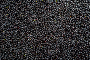 background blueberries close-up