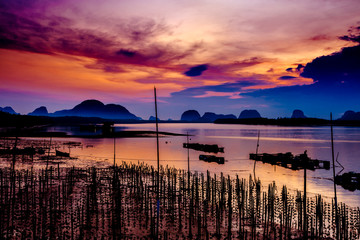 The Oyster Farms at Fisherman village at Samchong-tai, Phang Nga