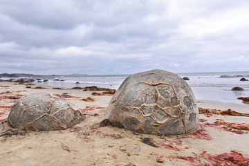 Moeraki Boulders on Koekohe Beach on the Otago coast of New Zealand