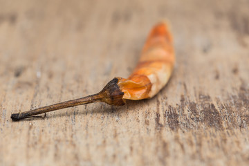 Closeup of the dried chili on the wood