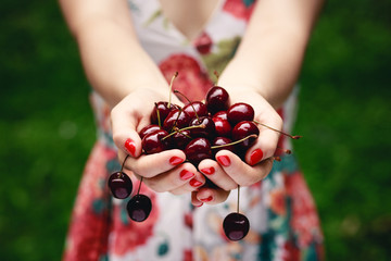 Close up of hands full of cherries. Photo with shallow depth of field.
