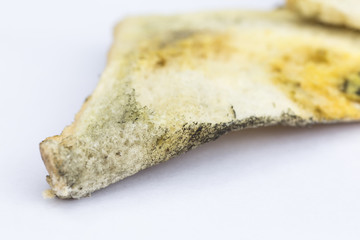 Mouldy bread isolated on white background