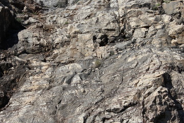 stone texture
