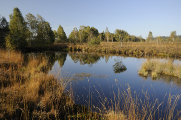 Hochmoor Kendlmühlfilz