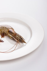 Shrimps on a white plate.