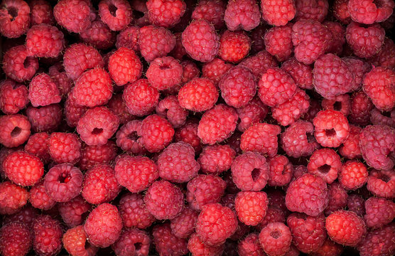 Fresh organic ripe raspberry, top view