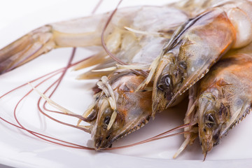 Shrimps on a white plate.
