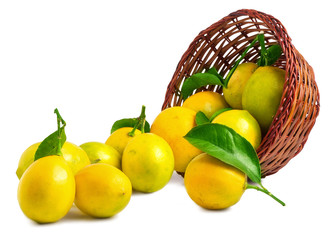 Lemons in basket isolated on white