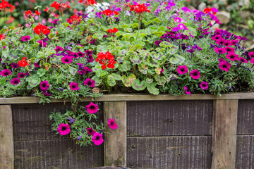 wooden fence with flowers