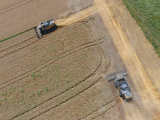 Harvesting wheat harvester