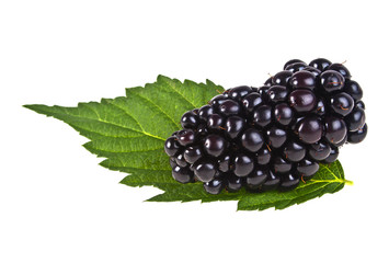 Fresh ripe blackberries and green leaf isolated on a white backg