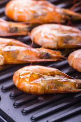 Shrimps.