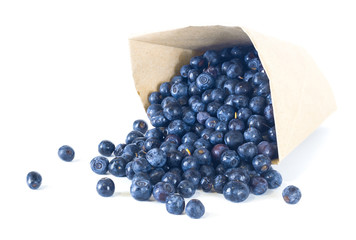 Bilberry