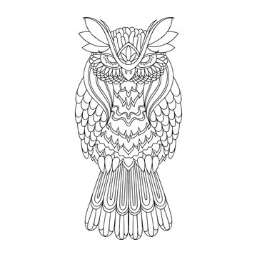 Vector owl illustration. Picture for coloring. 