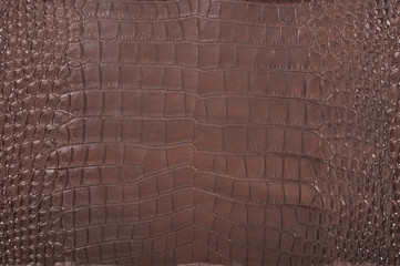 Brown crocodile leather