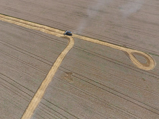 Harvesting wheat harvester