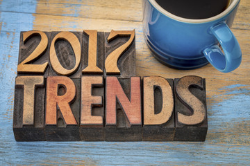 2017 trends in wood type