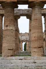 Tempio grego Paestum 