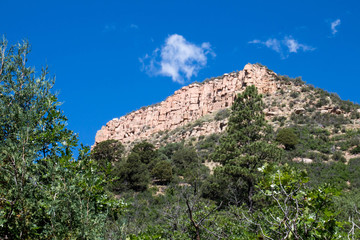 Fototapeta na wymiar Cliff with scrub oak and pine at Twin Buttes trail in Durango, Colorado
