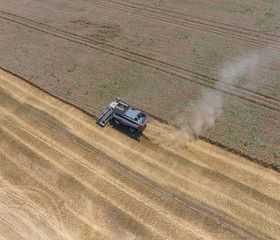 Harvesting wheat harvester