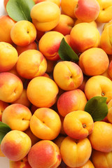 Ripe apricots fruit background