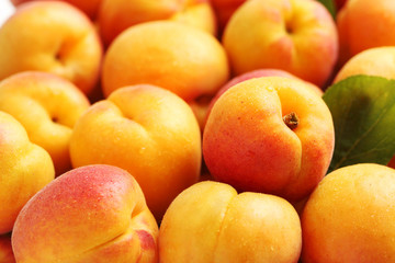 Naklejka na ściany i meble Ripe apricots fruit background