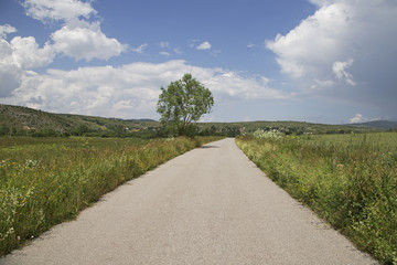 Small asphalt village road through the green field and clouds