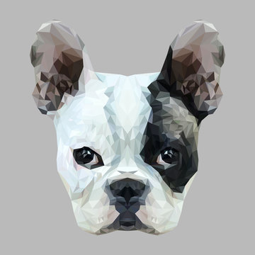 French Bulldog Dog animal low poly design. Triangle vector illustration.