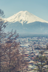 Mount Fuji view from Red pagoda in japan