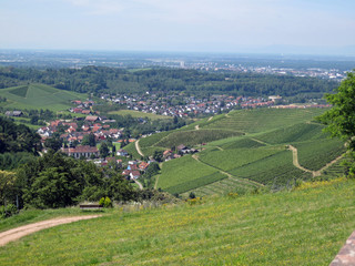 Obraz premium Durbach Sommer