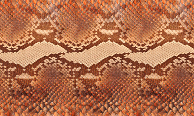 Brown python leather