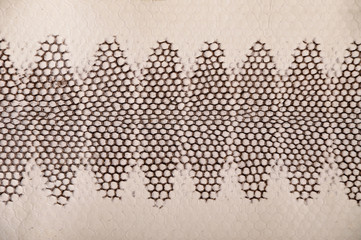 Python leather