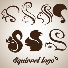 squirrel logo © newarta.com